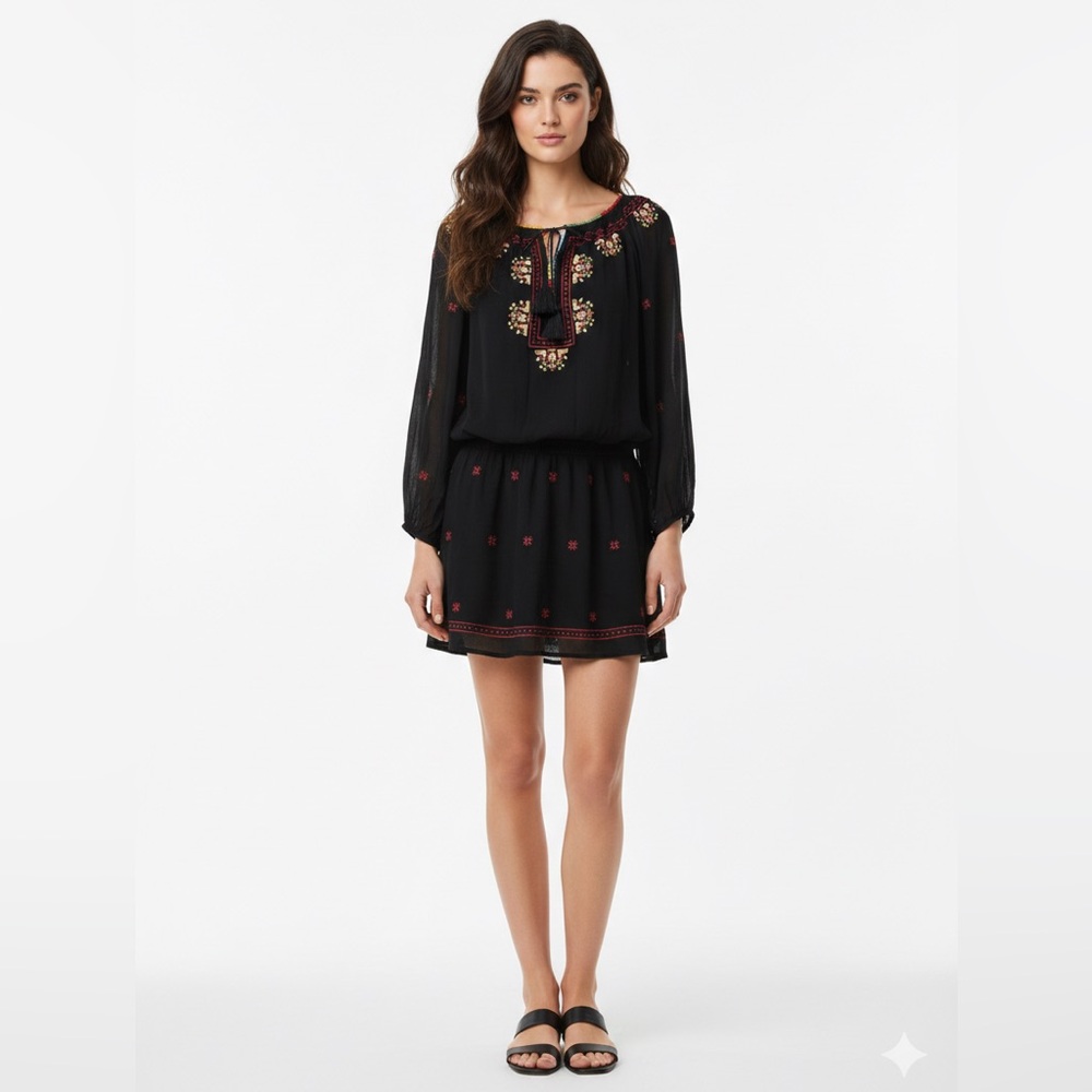 Joie Black Dress with Intricate Embroidery